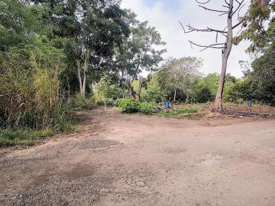 (Ref. MA7-226) A vendre terrain agricole - La Mivoie, Rivière Noire - Land on Aster Vender