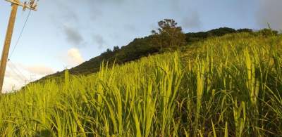 (Ref. MA7-233) À vendre terrain agricole, excellent opportunité  - Land on Aster Vender