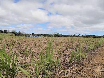 (Ref. MA7-297) Terrain plat, excellent pour un projet agricole - Land