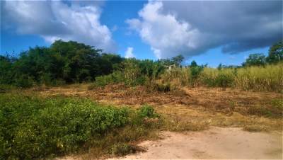 (Ref. MA7-457)  - Land on Aster Vender