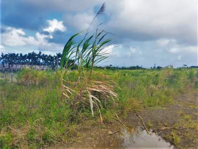 (Ref. MA7-490) Terrain agricole avec vue sur les montagnes  - Land on Aster Vender