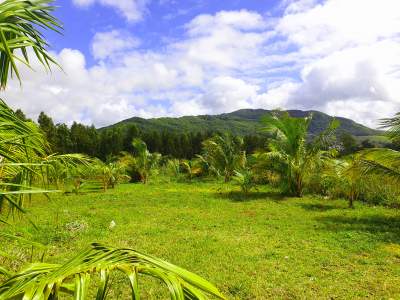 Residential land (14 perches)  - Land