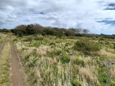 Agricultural Land - Land