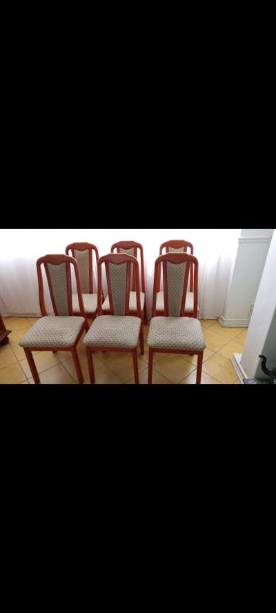 6 dining chairs  - Dining Chairs on Aster Vender