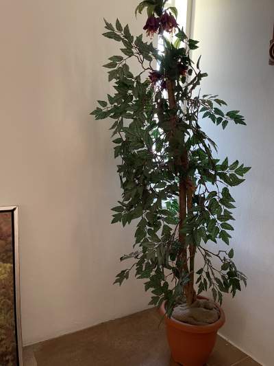 Artificial plant  - Others