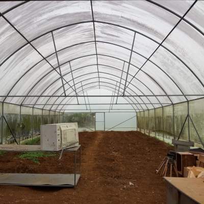 Green house  - Others