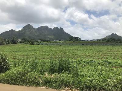 Land for Sale - Avenir Moka - Land