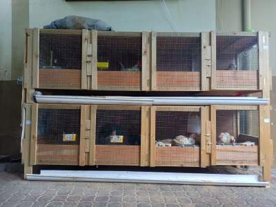 CHICKEN CAGE ( URGENT SALE) - Poultry on Aster Vender