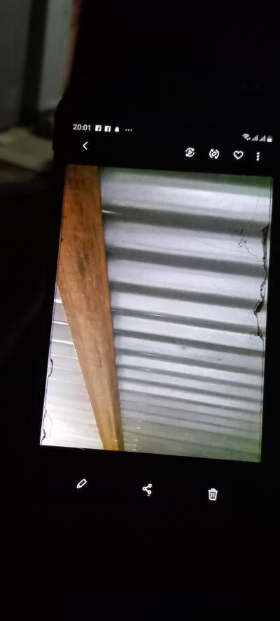 Feuille tole et bois caré - Others on Aster Vender