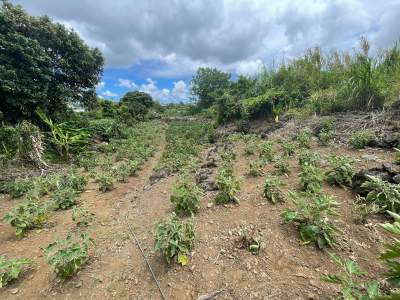 Residential Land For Sale - Land