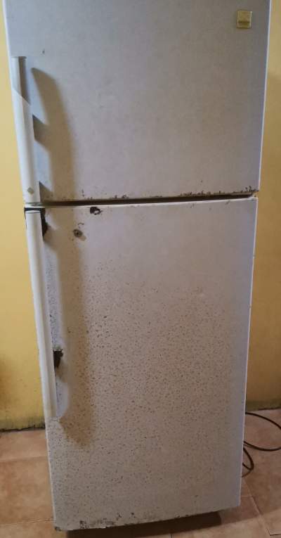 Fridge  - Kitchen appliances