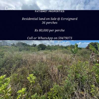 Plot for Sale - Land