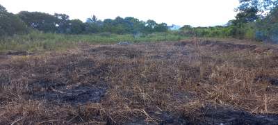 Land For Sale At La Rosa - Land on Aster Vender