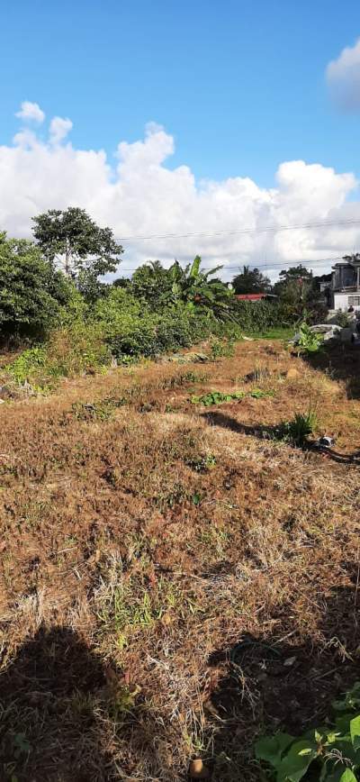 TERRAIN RÉSIDENTIEL À VENDRE - Land