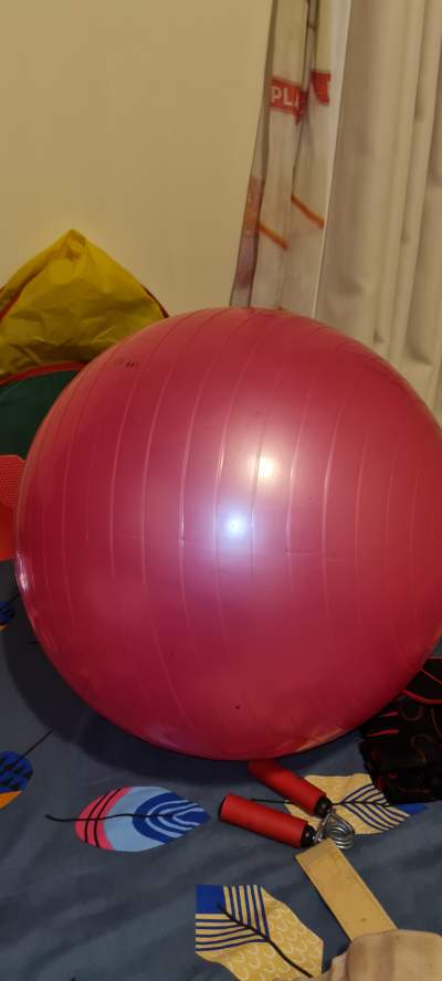 Swiss ball - Fitness & gym equipment on Aster Vender