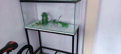 A ceder gratuitement  aquarium 92cmx 38 cm x 48 cm et support  -  Aquarium fish