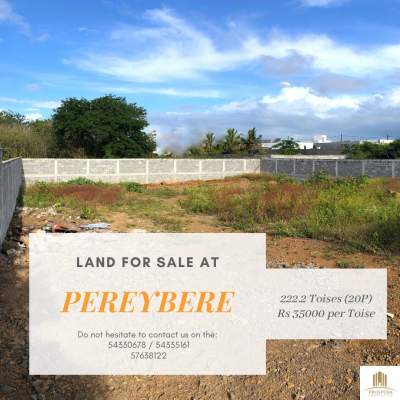 LAND ON SALE @ PEREYBERE / SURFACE AREA: 20P - Land on Aster Vender