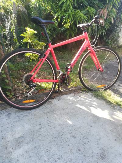 Velo a vendre - Canondale  - Sports bicycles on Aster Vender