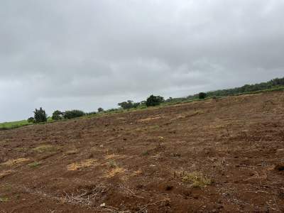 Agricultural Land- Henrietta Tamarind Falls - Land