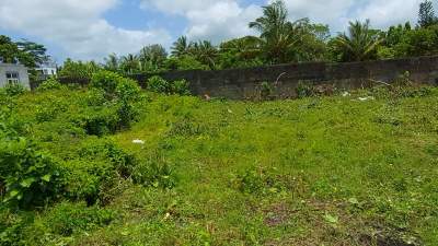 Land for sale at camp de masque 6.5 perche 1.1 neg - Land