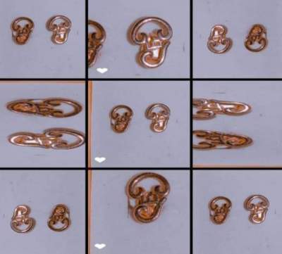 Golden Earrings  - Others on Aster Vender