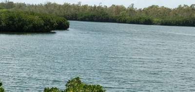 Terrain A Vendre  - Land