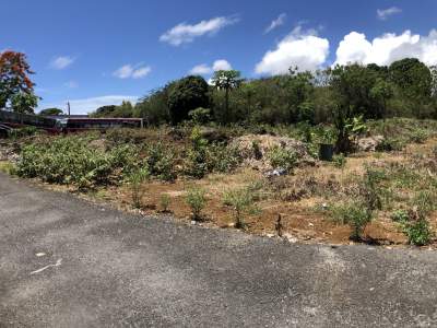 Residential Land 25 Poles – Quatre Cocos - Land