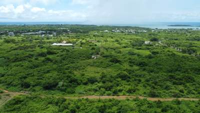 For Sale - Agricultural Land 5,408 m2 - St Antoine - Mauritius - Land