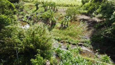 For Sale - Agricultural land 717 m2 - L'Assurance - Dagotiere - Land