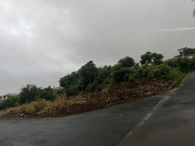 Britannia 6.5PERCH 1.15M - Land on Aster Vender