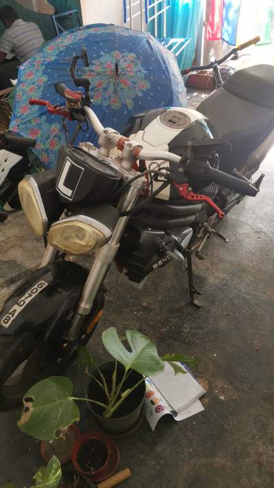 BENDA Firestrike 250 - Roadsters