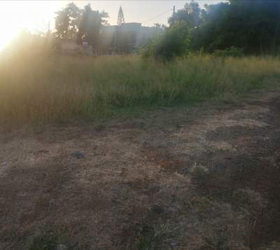 Sale of land - Land on Aster Vender