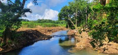 AGRICULTURAL LAND FOR SALE - Land on Aster Vender