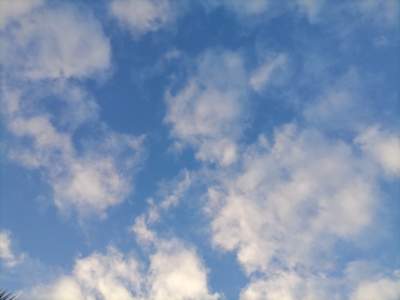 Toyota vitz 2010 - Family Cars on Aster Vender