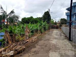 12 Perches Residential land, Sebastopol - Land on Aster Vender