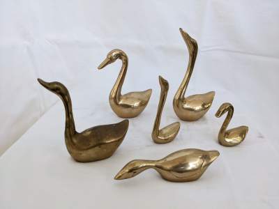 6 cygnes en laiton - 6 brass swans - Old stuff on Aster Vender