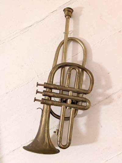 Trompette -  Trumpet - Old stuff on Aster Vender