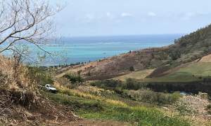 4 Soeurs: superb and untouched - price reduced to Rs 790,000 / Arpent - Land on Aster Vender