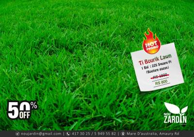 Tibourik Lawn - Promo sale - Call on 5 949 55 82 - Plants and Trees