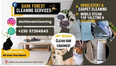 Dark Forest Cleaning Services  - Cleaning services on Aster Vender