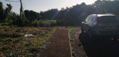 Morcellement Pinewood - Land