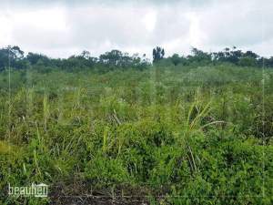 Residential land of 18.64 perches in Camp Thorel - Land on Aster Vender