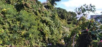 Beautiful Land for Sale at Grand Gaube  - Land