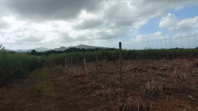 Land – Agricultural – SALE – Deux Bras – 1 Acre - Land