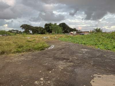 Residential land Rose belle  - Land on Aster Vender