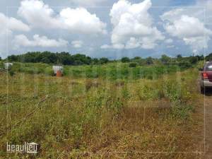 Two plots of 24 and 20 perches,  Reunion Maurel - Land on Aster Vender