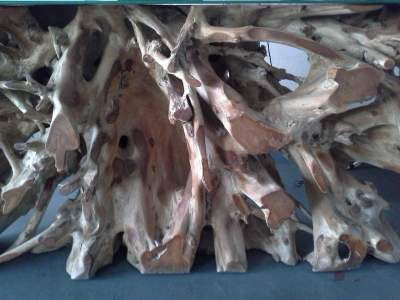 A vendre racine vernie en teck - All household appliances on Aster Vender