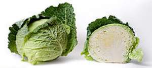 Cabbages  - Vegetables