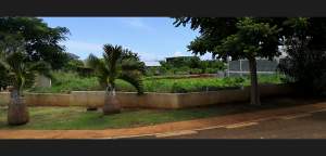 Land For sale at Harmony Pte aux Piments - Land on Aster Vender
