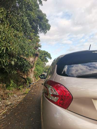 Peugeot 208 - Family Cars on Aster Vender